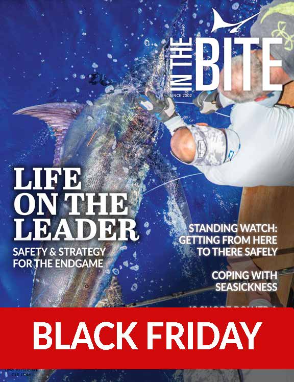 Black Friday Special