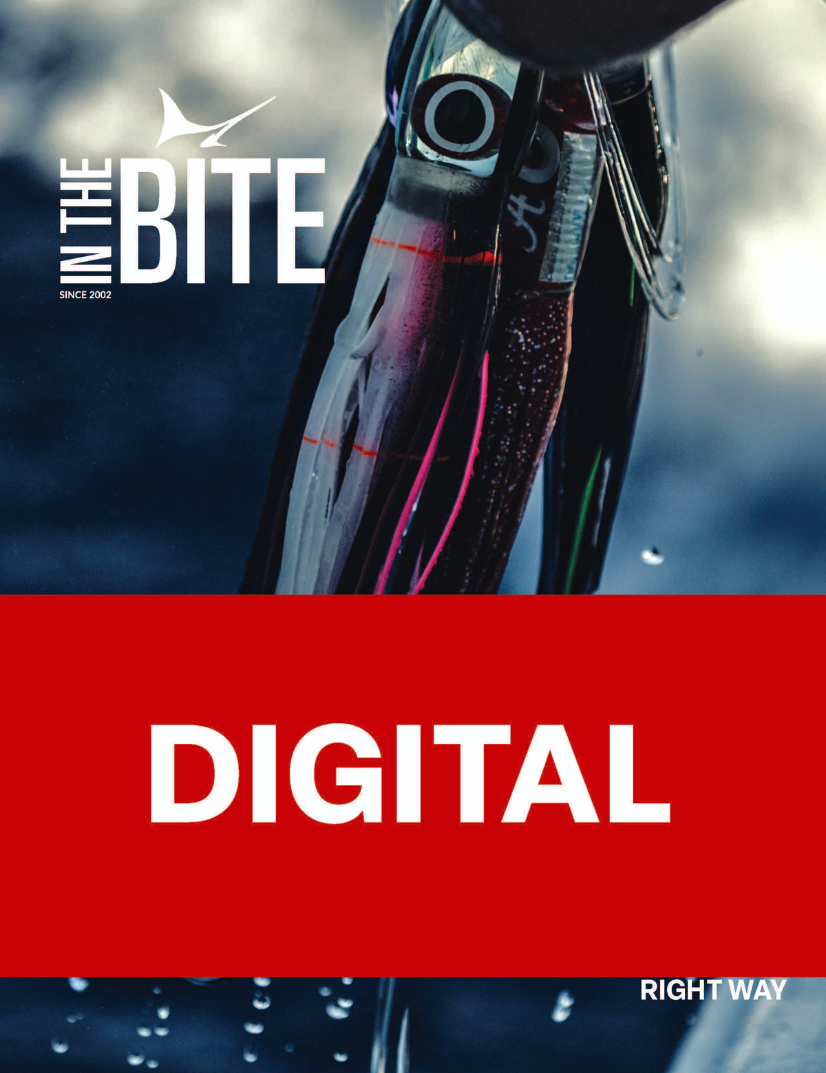 InTheBite Volume 25 Edition 5 October - November 2026 - Digital Issue